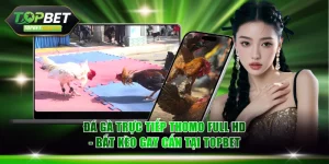 Đá gà trực tiếp Thomo