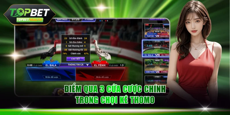 Điểm qua 3 cửa cược chính trong chọi kê Thomo
